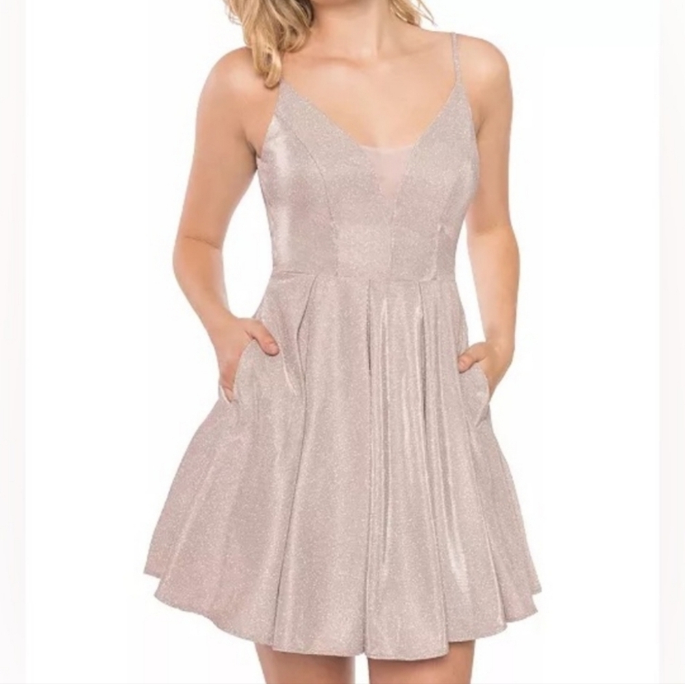 Champagne Pink Dress